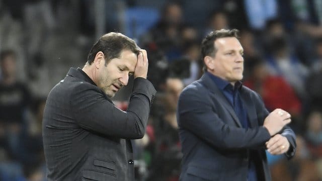Bedient: Österreich-Coach Franco Foda (vorne) - dahinter Israels österreichischer Teamchef Andreas Herzog. Bedient: Österreich-Coach Franco Foda (vorne) - dahinter Israels österreichischer Teamchef Andreas Herzog.