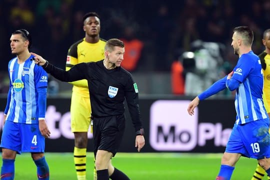 Schiedsrichter Tobias Welz (M) hat Vedad Ibisevic (r) einen Platzverweis erteilt.