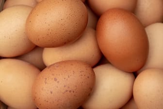 Eier: Die Qualität der meisten von "Öko-Test" geprüften Eier war gut.