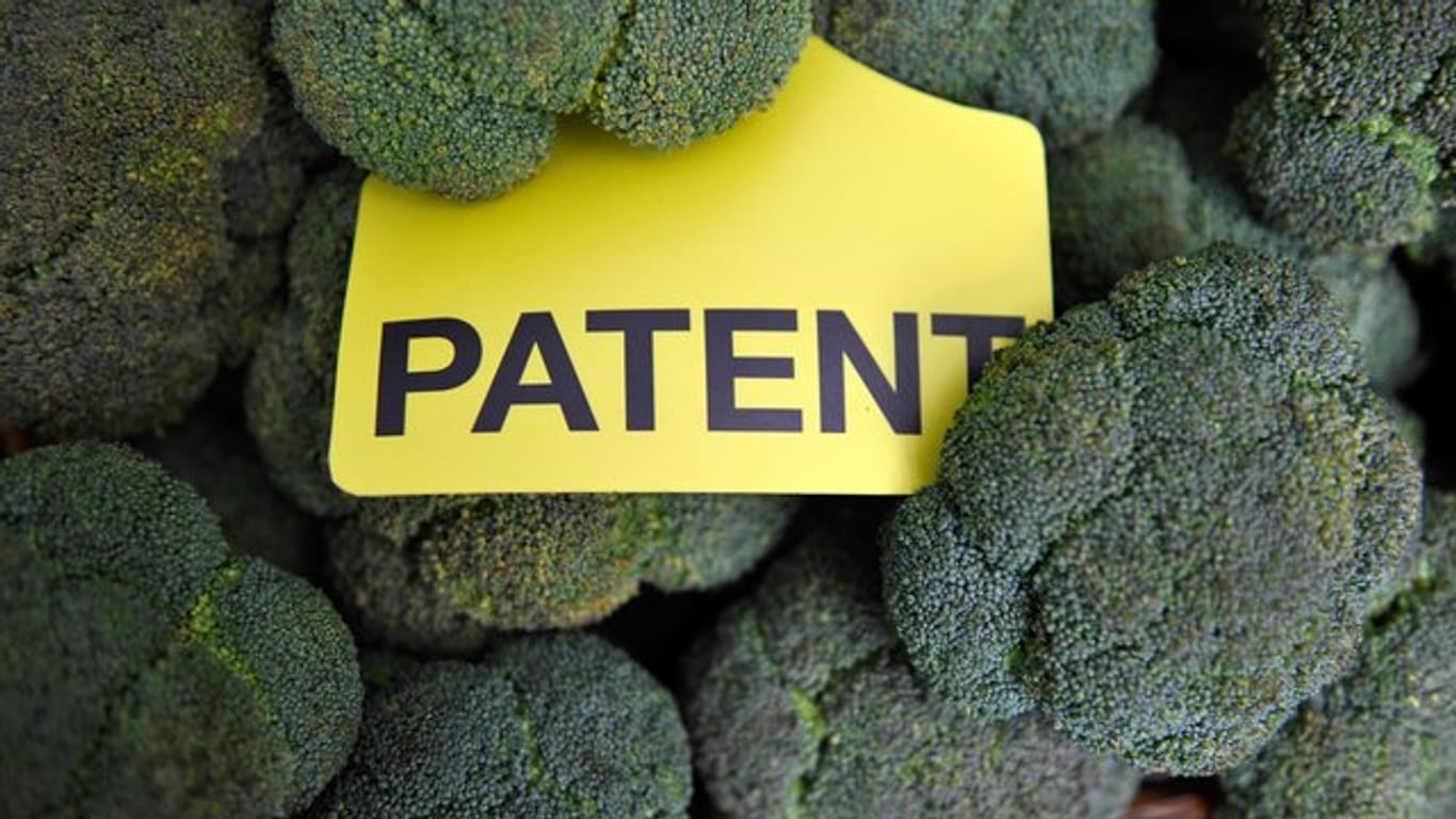 Brokkoli vor dem Europäischen Patentamt.