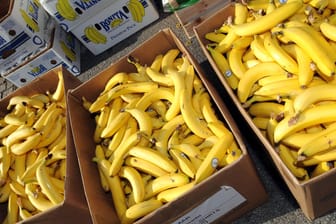 Bananenkisten: 87 Kilogramm Kokain wurden vom LKA sichergestellt. (Symbolbild)