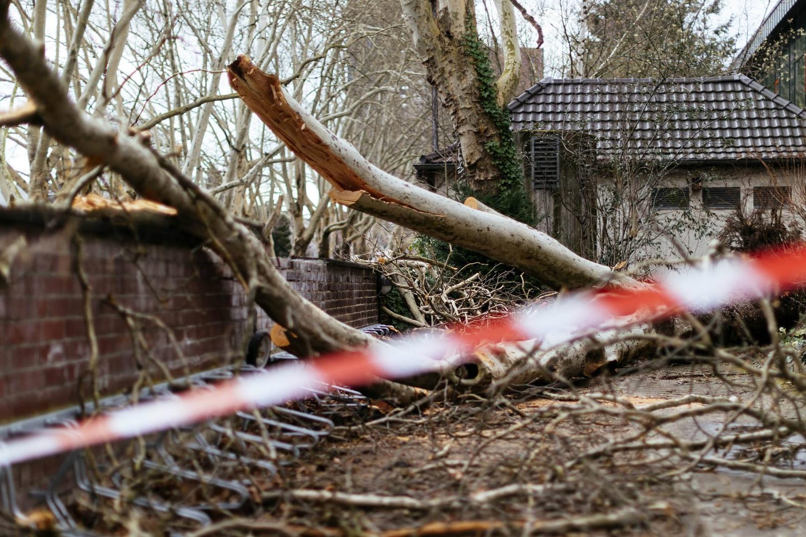 Bei Fällarbeiten ist ein Mann in Niederbayern von einem Baum erschlagen worden. (Symbolbild)