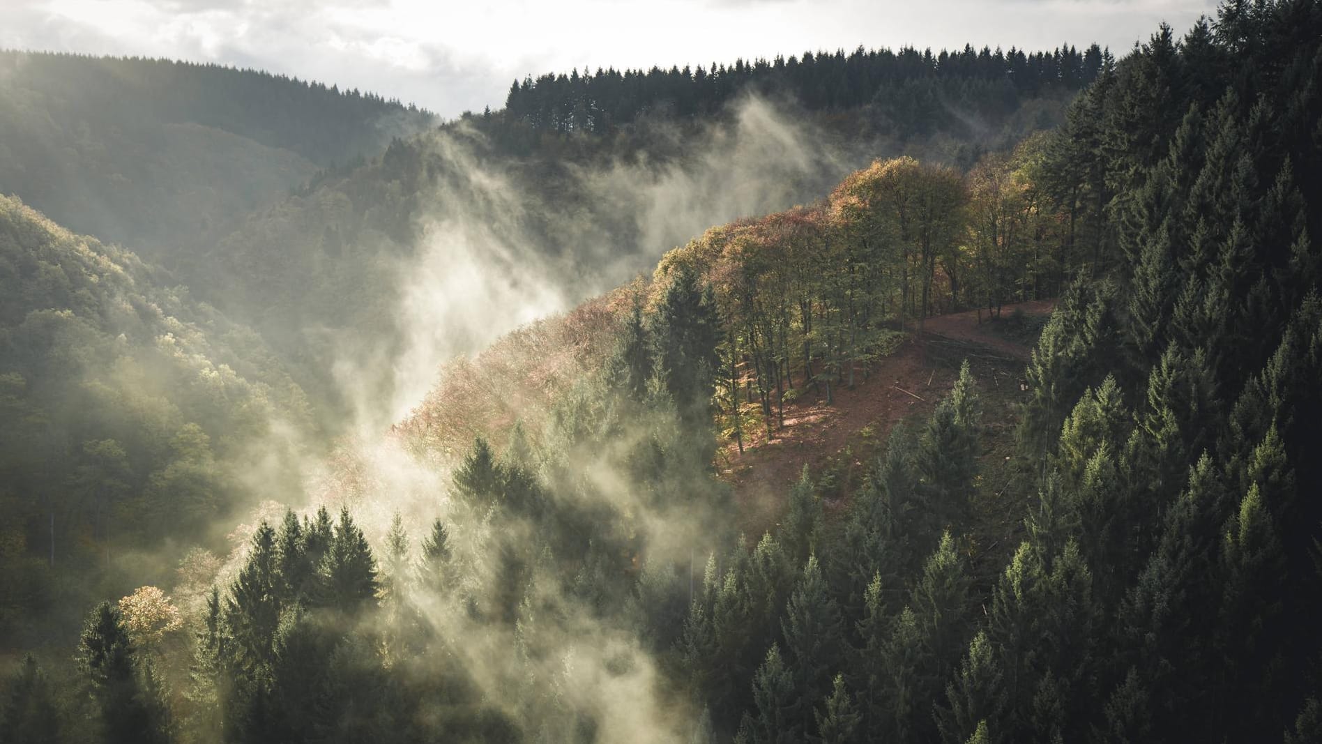 Eine Landschaft im Hunsrück: In der Idylle hat offenbar die AfD-Spendenaffäre ihren Lauf genommen.