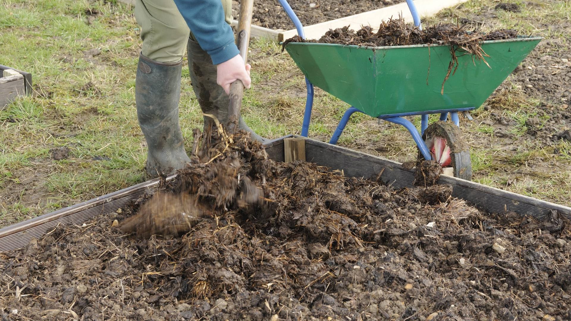 Gartenarbeit: Düngen mit Stallmist kann Ihrem Beet ausreichend Nährstoffe liefern.