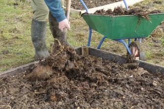 Gartenarbeit: Düngen mit Stallmist kann Ihrem Beet ausreichend Nährstoffe liefern.