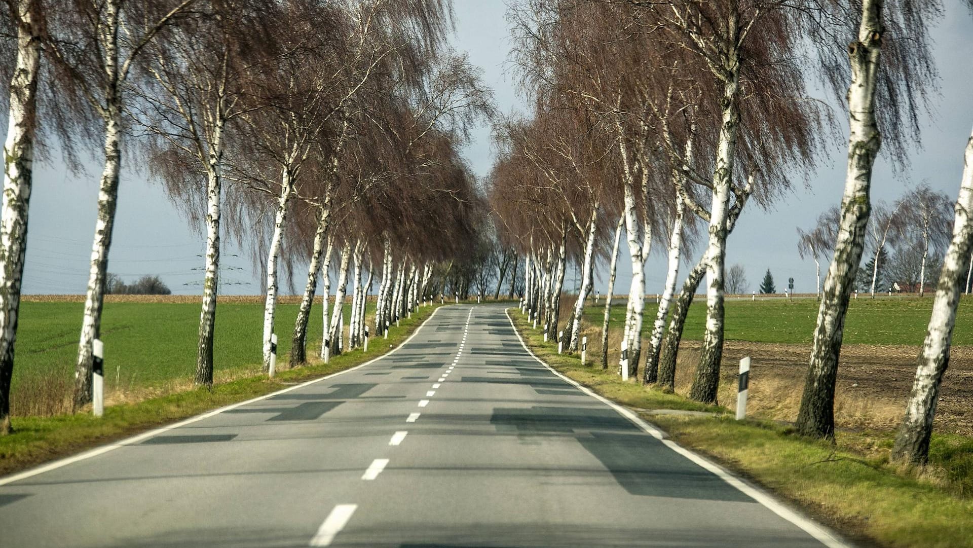 Kreisstrasse bei Hannover (Symbolbild): Das Fahrzeug der Person sei in der Nacht auf Freitag gegen einen Baum gefahren. Kreisstrasse bei Hannover (Symbolbild): Das Fahrzeug der Person sei in der Nacht auf Freitag gegen einen Baum gefahren.