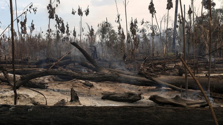 Illegale Brandrodung in Brasilien: Gewinne aus den Umweltverbrechen werden oft in andere Verbrechen reinvestiert.