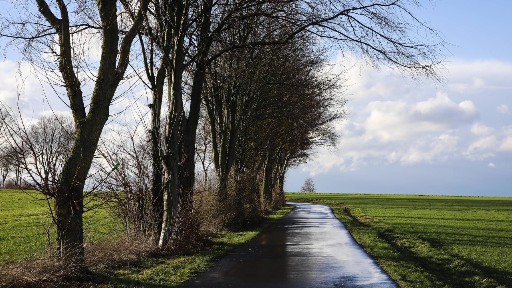 Ein blauer Himmel über der nassen Straße: Am Wochenende werden frühsommerliche Temperaturen erwartet, aber auch Schauer. Ein blauer Himmel über der nassen Straße: Am Wochenende werden frühsommerliche Temperaturen erwartet, aber auch Schauer.
