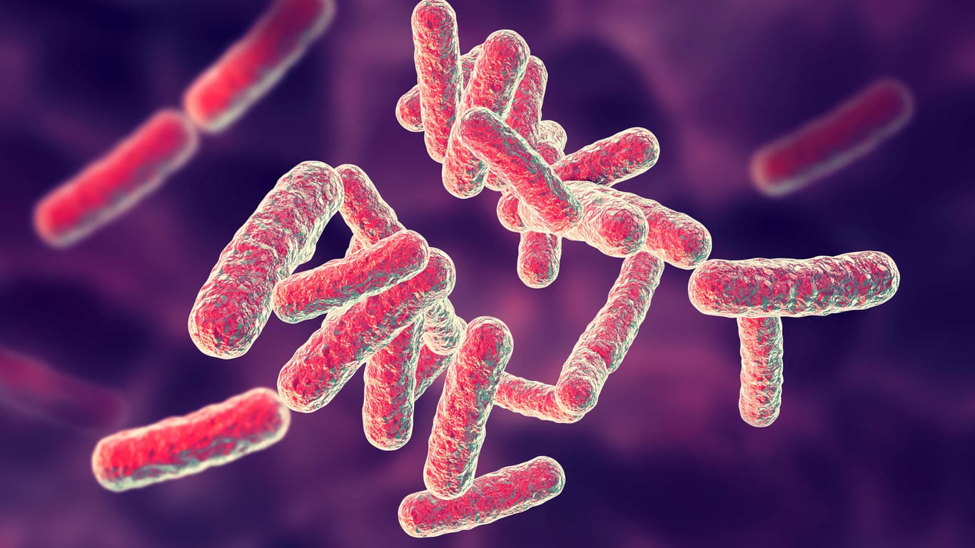 3D-Illustration von Bakterien: Tuberkulose-Erreger können viele Organe befallen.