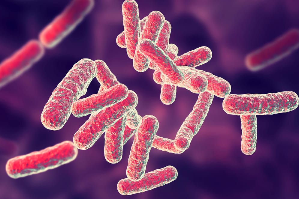 3D-Illustration von Bakterien: Tuberkulose-Erreger können viele Organe befallen.