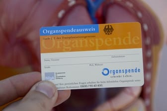 Im Organspendeausweis kann man eintragen, dass man nach seinem Tod Organe spenden möchte.