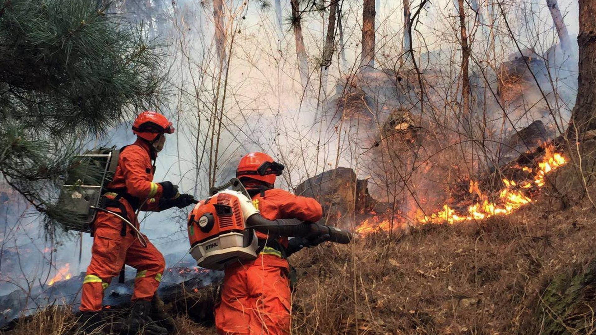 Chinesische Feuerwehrleute im Einsatz: Die Löscharbeiten wurden von einem Windrichtungswechsel erheblich beeinträchtigt. Chinesische Feuerwehrleute im Einsatz: Die Löscharbeiten wurden von einem Windrichtungswechsel erheblich beeinträchtigt.