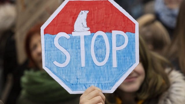 "Fridays for Future"-Demonstration in Berlin.