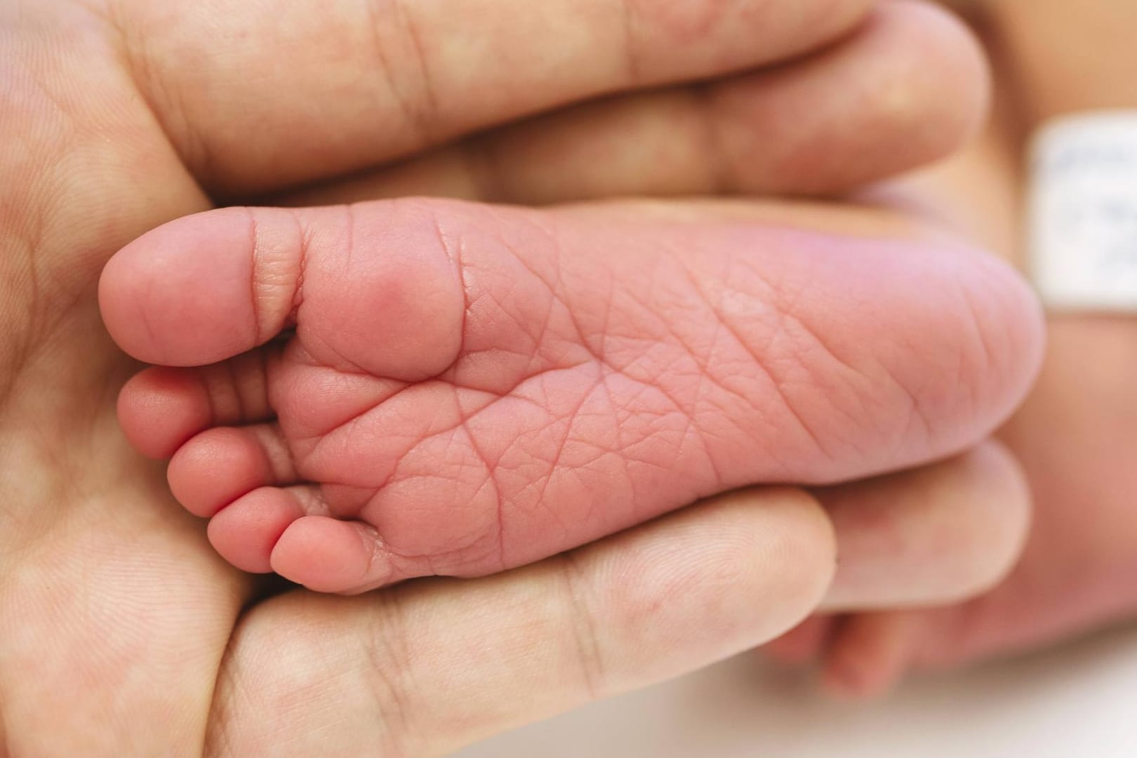 Neugeborenes im Krankenhaus: Eine 61-Jährige hat sich ihrem Sohn als Leihmutter zur Verfügung gestellt. (Symbolfoto)