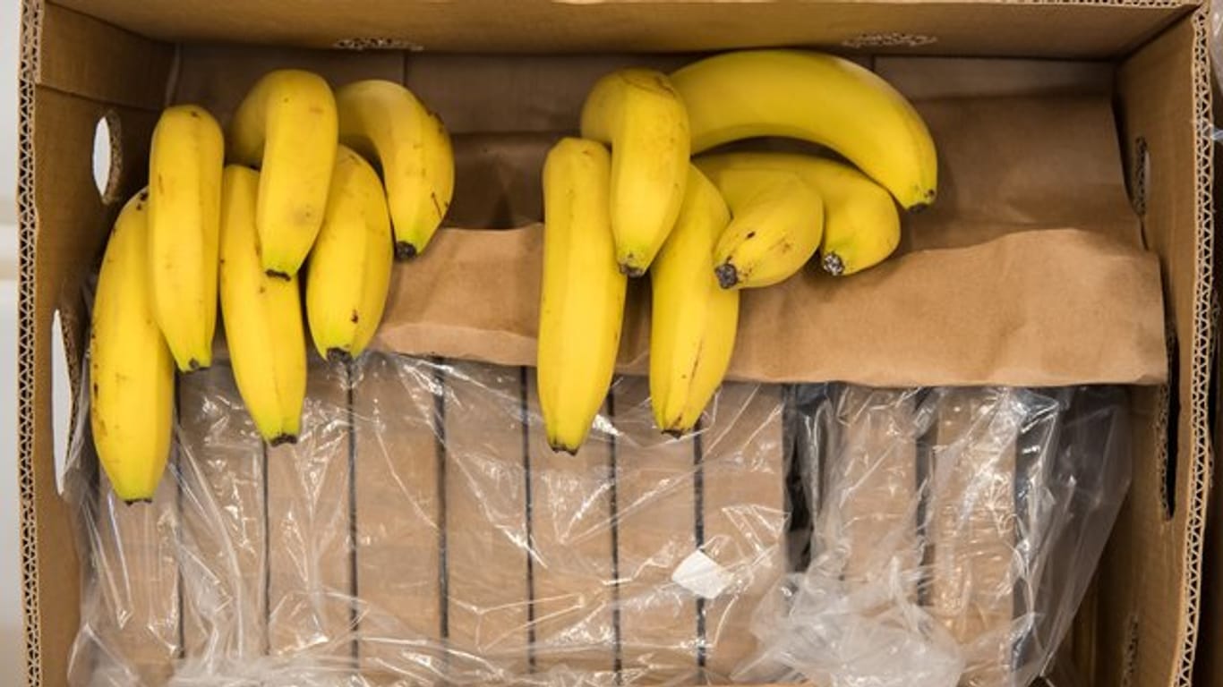 Mai 2018: Bei einer Polizeipressekonferenz in München wird in Bananenkisten verstecktes Kokain präsentiert.