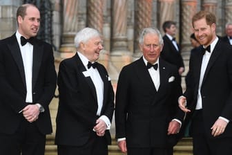 Prinz William, Sir David Attenborough, Prinz Charles und Prinz Harry bei der Weltpremiere der Netflix-Serie "Unser Planet" im Naturkundemuseum in Kensington.