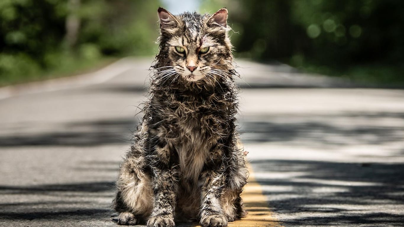 "Friedhof der Kuscheltiere": Der Film startet ab dem 4. April in den deutschen Kinos.