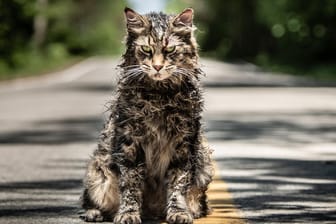 "Friedhof der Kuscheltiere": Der Film startet ab dem 4. April in den deutschen Kinos.