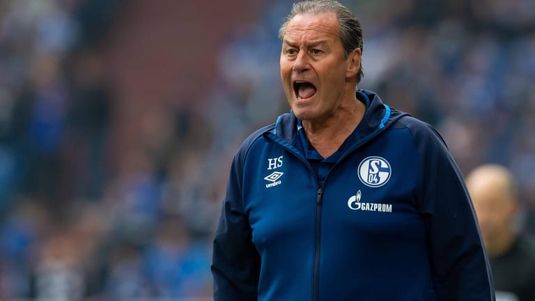 Sauer: Schalke-Trainer Huub Stevens.
