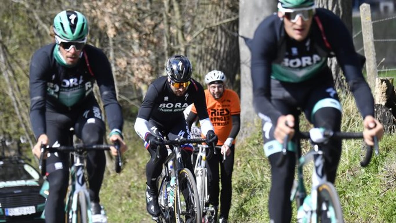 Peter Sagan (M) trainiert mit Team-Kameraden zwei Tage vor dem Frühjahrsklassiker Flandern-Rundfahrt.