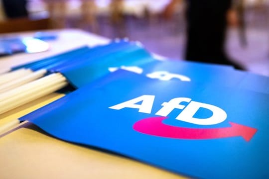 Laut einer aktuellen Umfrage erreicht die AfD in der Wählergunst nur noch 12 Prozent - ihr schlechtester Wert seit März 2018.