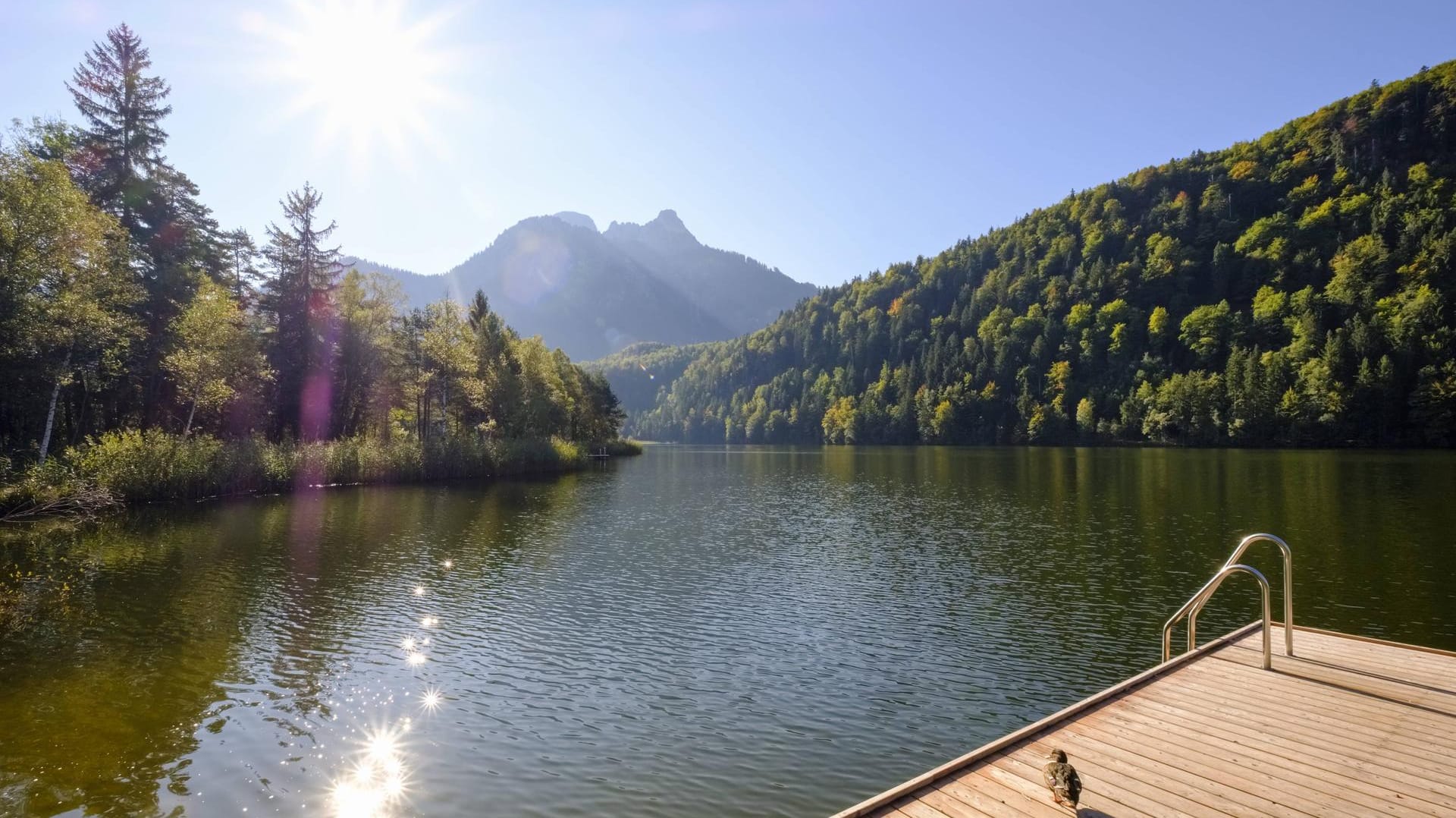 Badesee in Bayern: Ein 28-Jähriger ist aus bisher ungeklärter Ursache ertrunken. (Symbolbild) Badesee in Bayern: Ein 28-Jähriger ist aus bisher ungeklärter Ursache ertrunken. (Symbolbild)