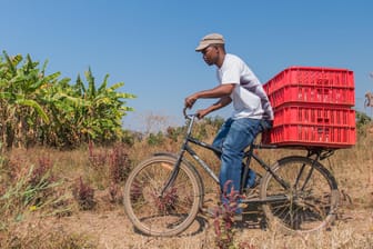 Das Buffalo-Bike in Afrika: Küken und Ananas, Mais, Milch und Eier – alles wird auf den Gepäckträger geschnallt.