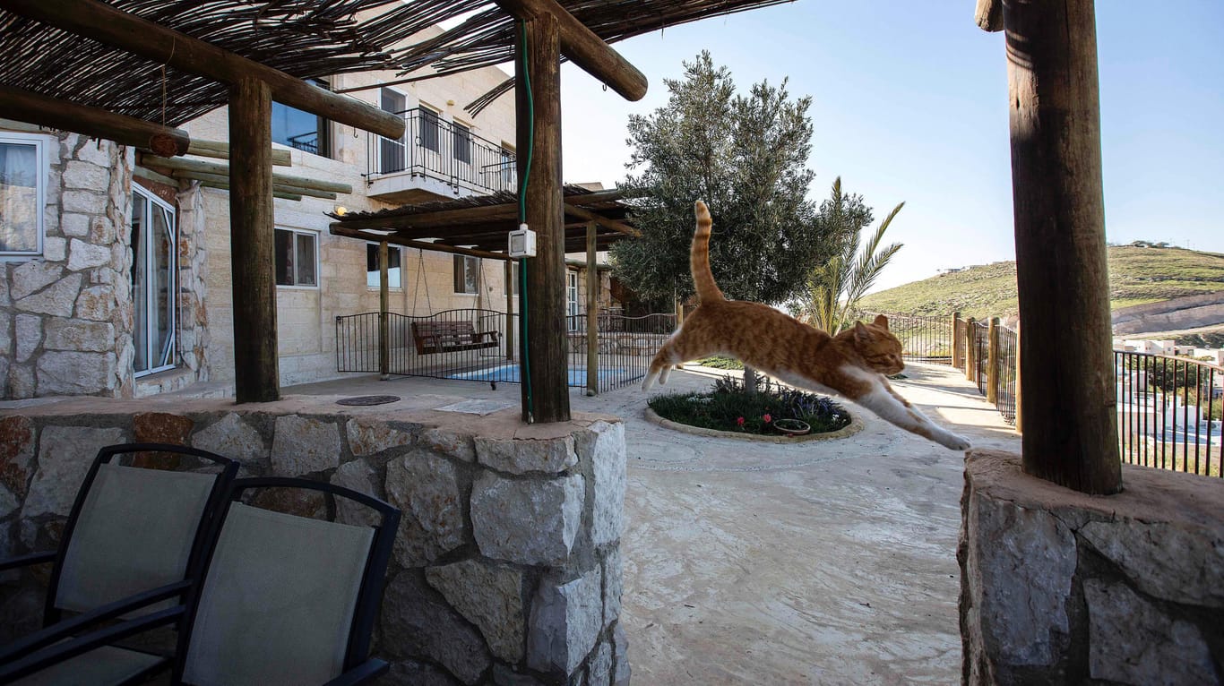Das Anzeigebild einer Ferienwohnung auf Airbnb im Westjordanland: Rund 200 Wohnungen wären von der Entscheidung betroffen gewesen. (Archivbild)