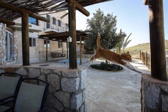 Das Anzeigebild einer Ferienwohnung auf Airbnb im Westjordanland: Rund 200 Wohnungen wären von der Entscheidung betroffen gewesen. (Archivbild)
