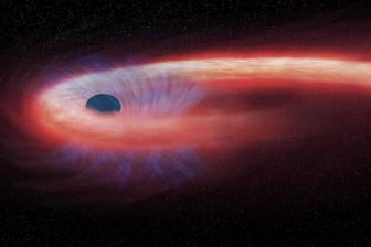Eine grafische Darstellung zeigt, wie ein Stern in einem Schwarzen Loch verschwindet: Obwohl Schwarze Löcher viel Masse umfassen, sind sie winzig klein.