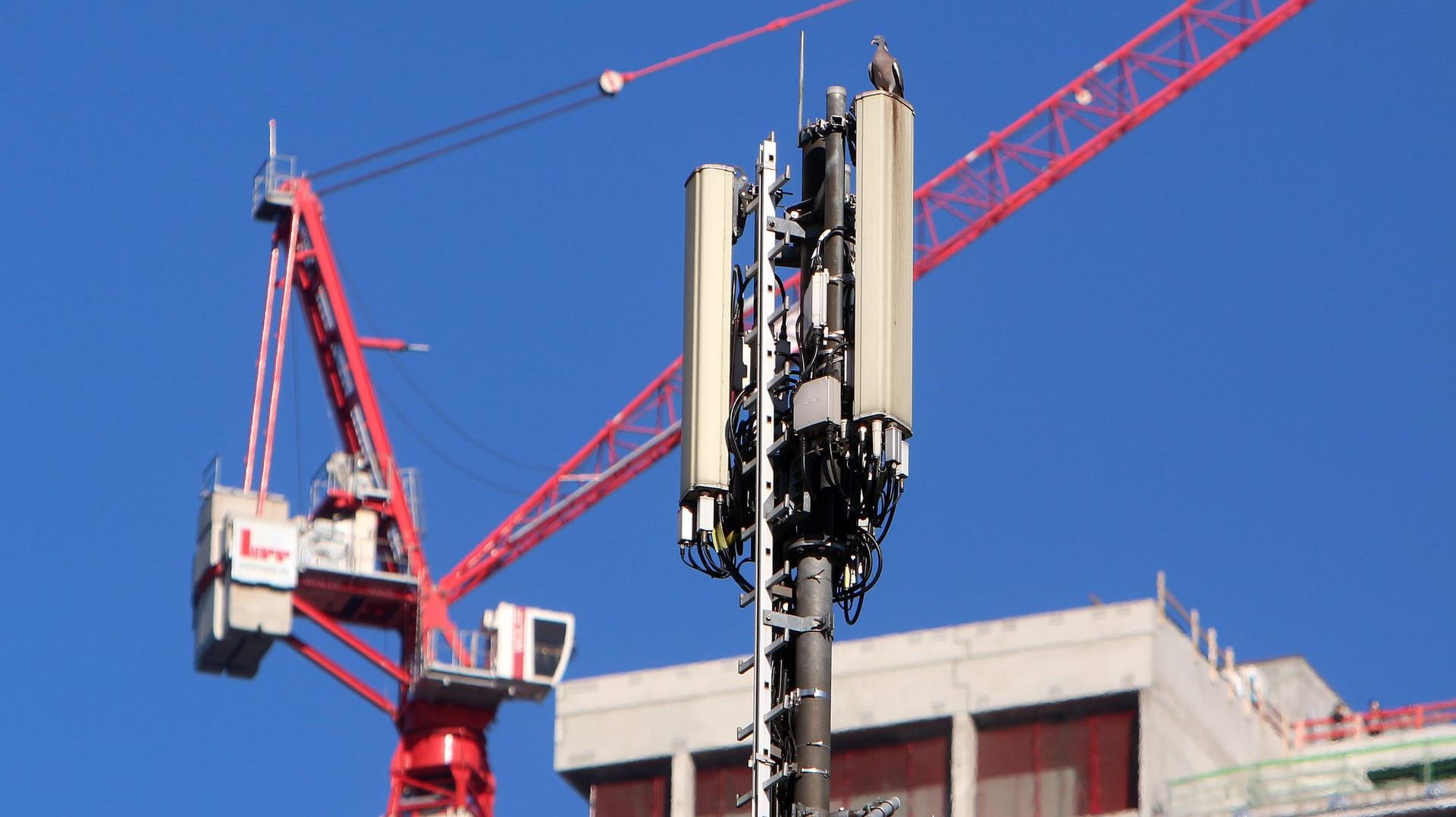 Ein Mobilfunkmast vor einem Baukran: Einige deutsche Haushalten haben weiterhin keine LTE-Abdeckung – vor allem auf dem Land. (Archivbild)