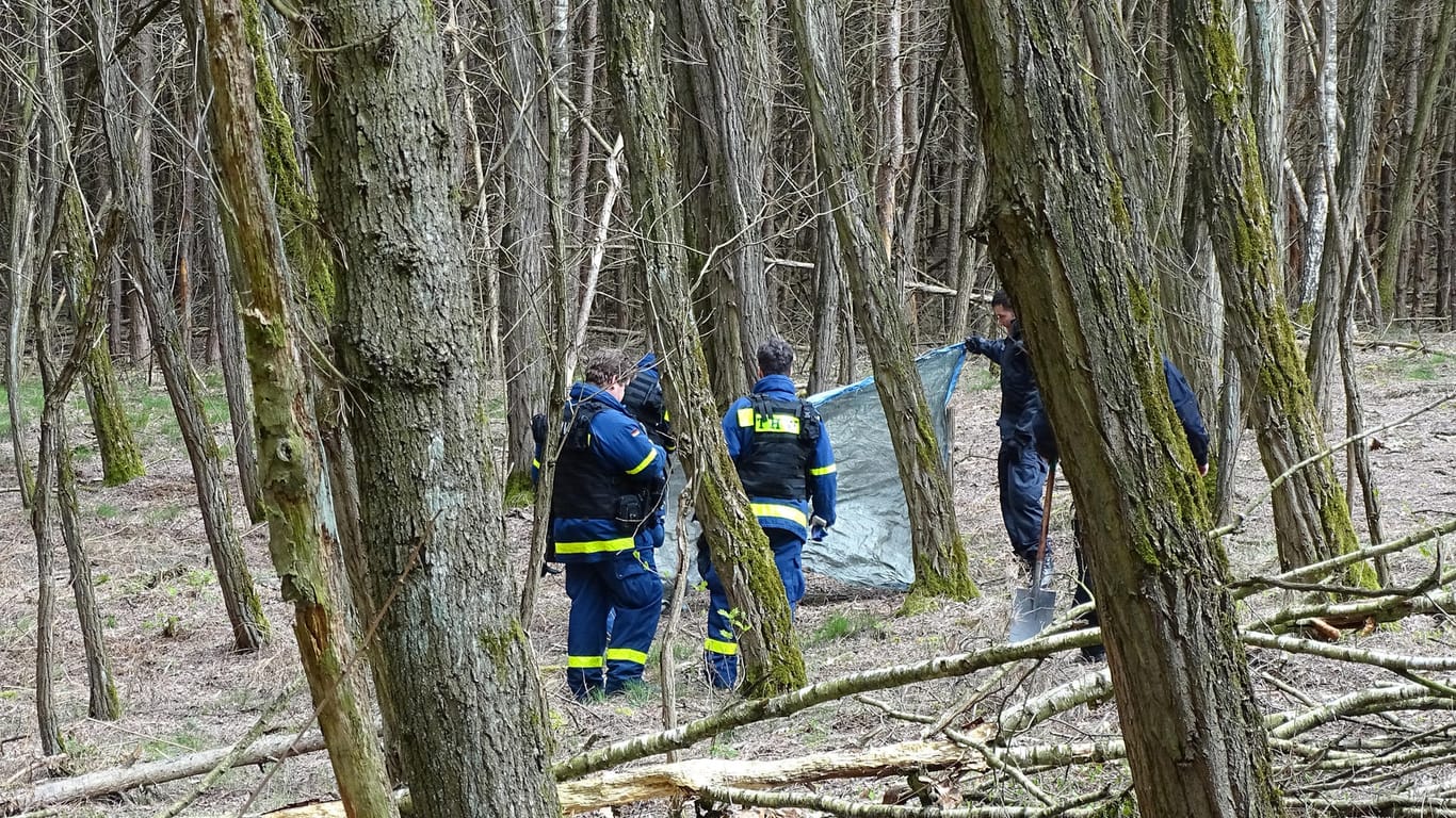Brandenburg: Kräfte des Technischen Hilfswerks (THW) und der Polizei suchen in einem Waldstück nahe des Herzberger Sees nach Rebecca.