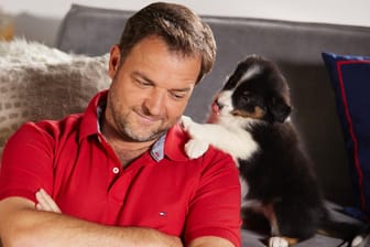 Martin Rütter: Der Hunde-Experte begleitet acht Familien, die sich einen Welpen zulegen.