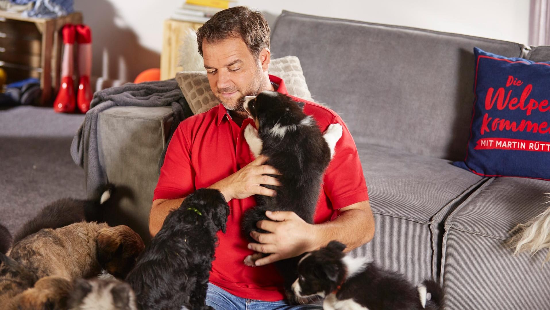 Martin Rütter: Sein Händchen für Hunde ist deutschlandweit bekannt.