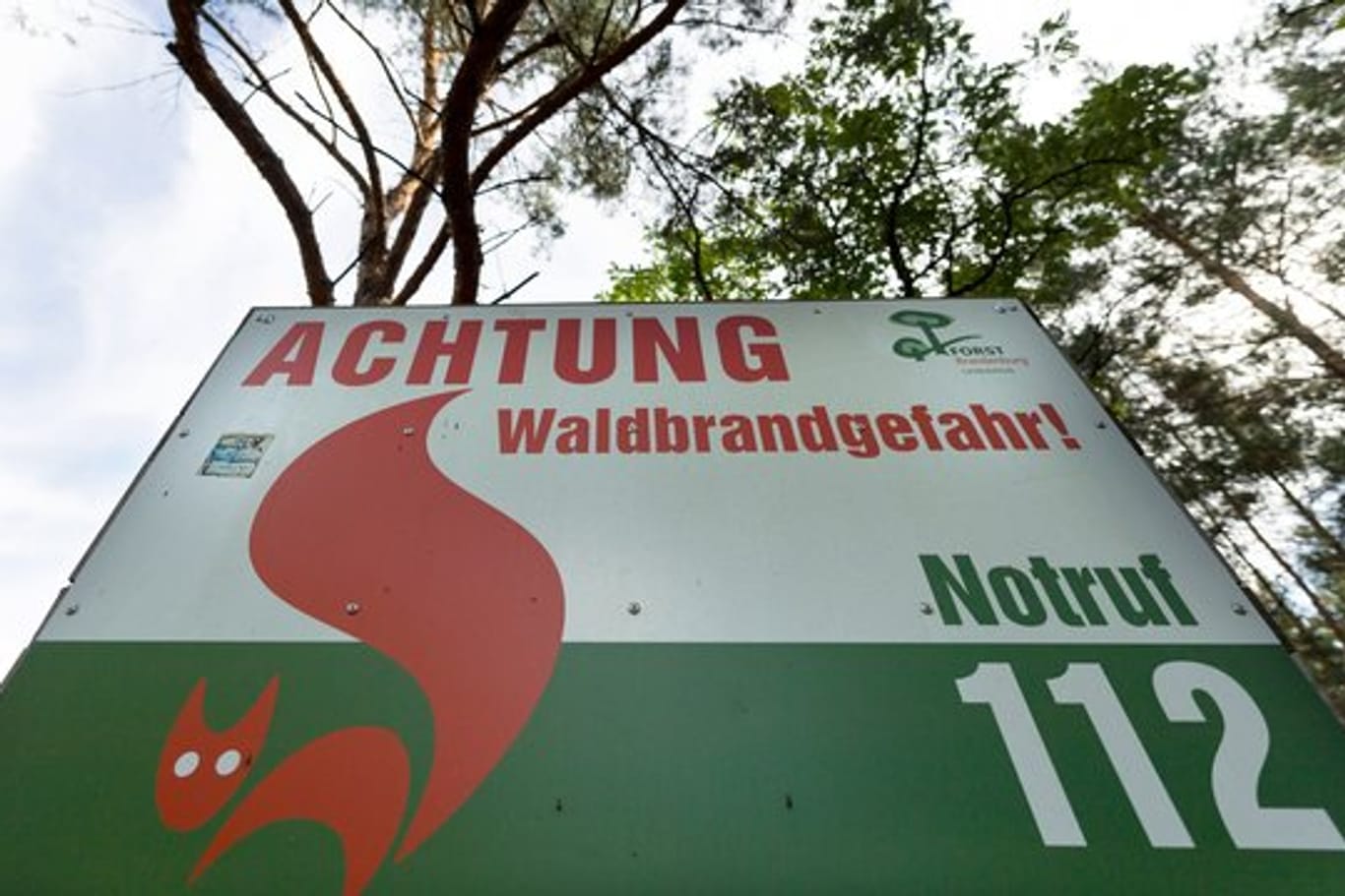 Eine Info-Tafel warnt im brandenburgischen Halbe vor Waldbrandgefahr.