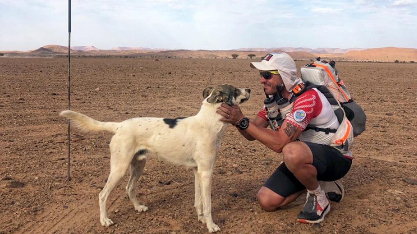 Ein Läufer streichelt Hund Cactus: Er war der unerwartete Star des Rennens.