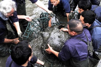 China, Suzhou: Forscher heben in einem Zoo eine weibliche Jangtse-Riesenweichschildkröte aus dem Wasser. Eine der seltensten Schildkrötenarten der Welt steht nach dem Tod ihres einzigen bekannten weiblichen Exemplars vor dem Aussterben.
