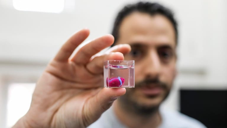 Das gedruckte Herz: Es wurde aus menschlichem Gewebe an der Universität Tel Aviv hergestellt.