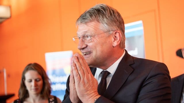 Die AfD muss wegen illegaler Spenden unter anderem an Parteichef Jörg Meuthen 400.