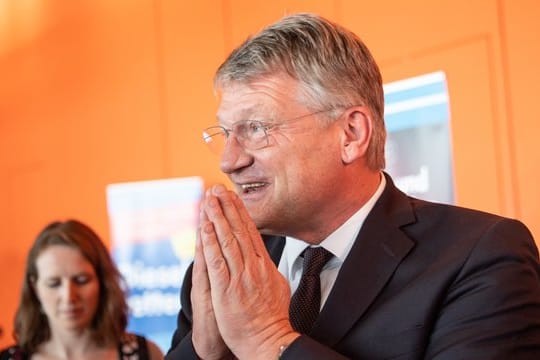 Die AfD muss wegen illegaler Spenden unter anderem an Parteichef Jörg Meuthen 400.