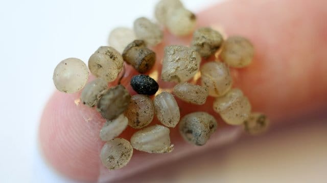 Forscher haben nachgewiesen, dass Mikroplastik-Teilchen in der Atmosphäre zu weit entfernten Regionen transportiert werden können. Forscher haben nachgewiesen, dass Mikroplastik-Teilchen in der Atmosphäre zu weit entfernten Regionen transportiert werden können.