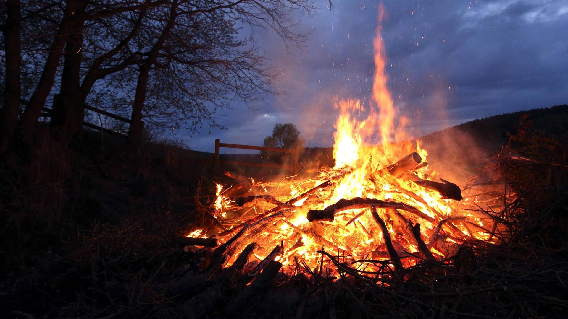 Osterfeuer: Für Tiere kann ein Osterfeuer schnell gefährlich werden.