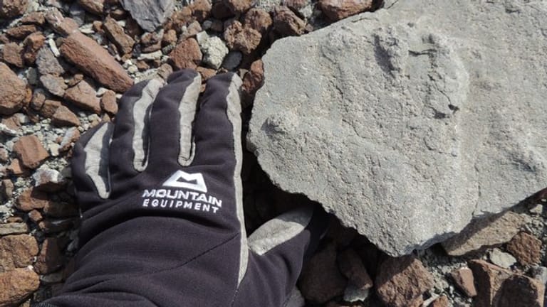 Ein Forscher greift nach einem rund 200 Millionen Jahre alten versteinerten Saurier-Fußabdruck, der auf einer Antarktis-Expedition entdeckt wurde.