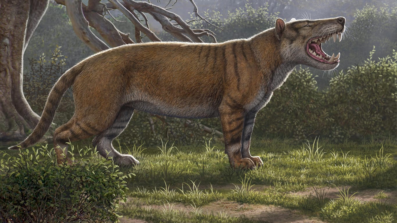 Eine Illustration zeigt den Simbakubwa kutokaafrika: Das Löwen-ähnliche Tier war wahrscheinlich bis zu 1.500 Kilogramm schwer und größer als ein Eisbär.