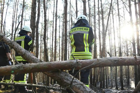 Rund 300 Quadratmeter Wald hatten am Mittwoch nahe Groß Kreutz in Brandenburg Feuer gefangen.