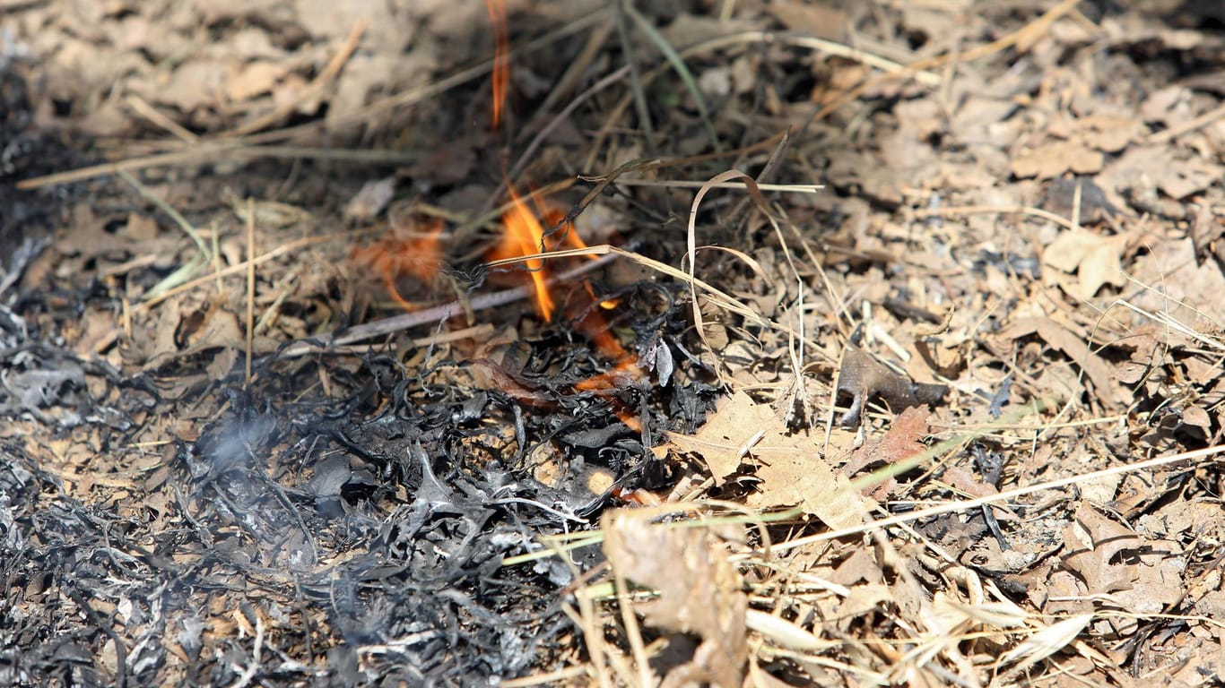 Brennender Waldboden: Eine Grillparty in Italien verursachte einen immensen Schaden. (Symbolbild)