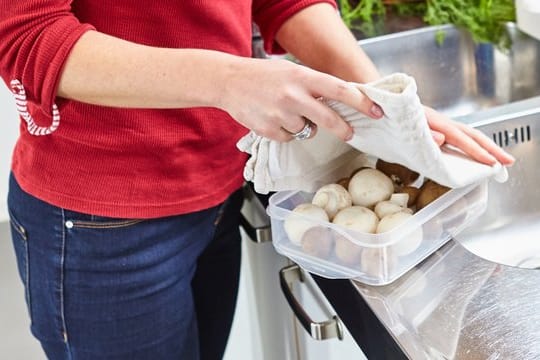 Behutsam in eine Schale gelegt, mit einem feuchten Tuch abgedeckt und dann gekühlt - so bleiben lose gekaufte Pilze frisch.