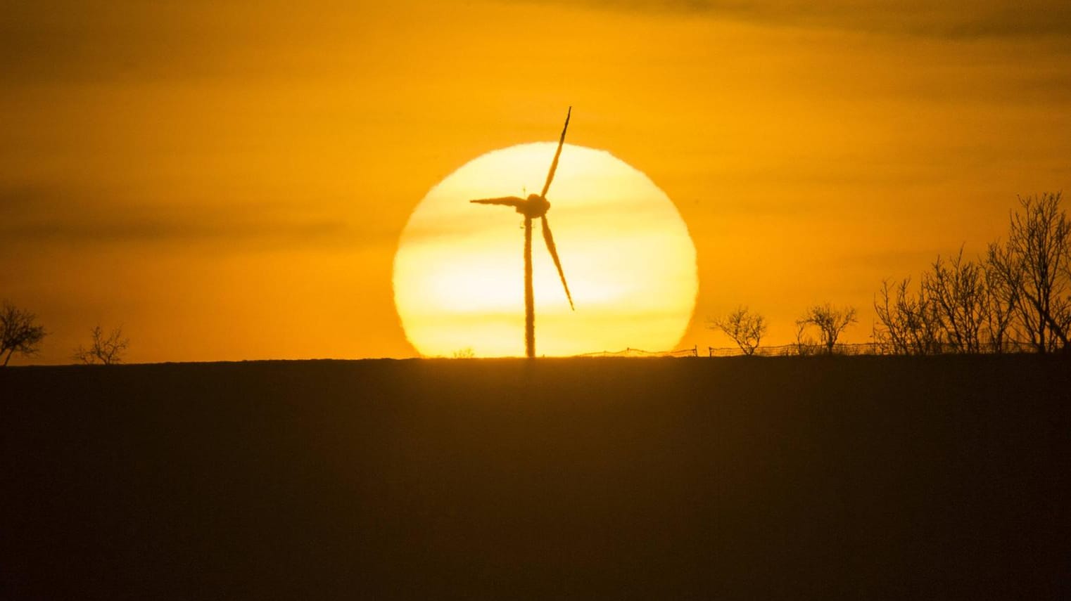 Ein Windrad vor der untergehenden Sonne (Symbolbild): Das Feuer wurde gegen Mitternacht gemeldet.