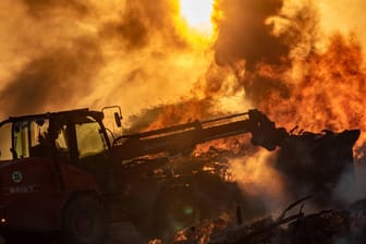 Brand in Sachsen-Anhalt (Symbolbild): Aus ungeklärter Ursache brennen zwei Ställe mit Tausenden Schweinen.