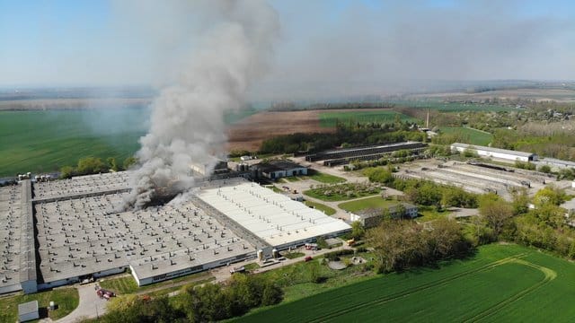 Rauch steigt aus zwei Ställen in der Schweinezuchtanlage Klein Wanzleben auf. Rauch steigt aus zwei Ställen in der Schweinezuchtanlage Klein Wanzleben auf.
